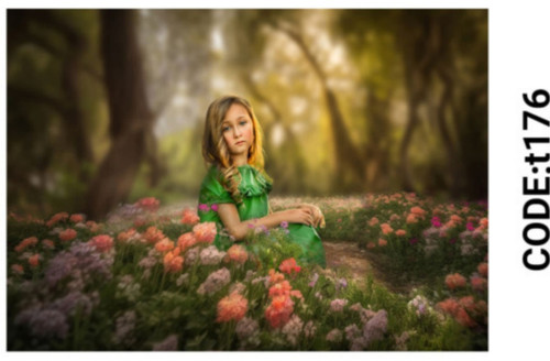 خرید ارزان فرشینه تابلوفرش فرشینه آفتاب کدT176مخمل شانل ترک استپدار