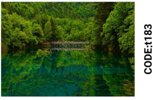 خرید ارزان فرشینه تابلوفرش فرشینه آفتاب کدT183مخمل شانل ترک استپدار