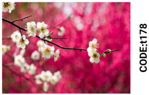 خرید ارزان فرشینه تابلوفرش فرشینه آفتاب کدT178مخمل شانل ترک استپدار