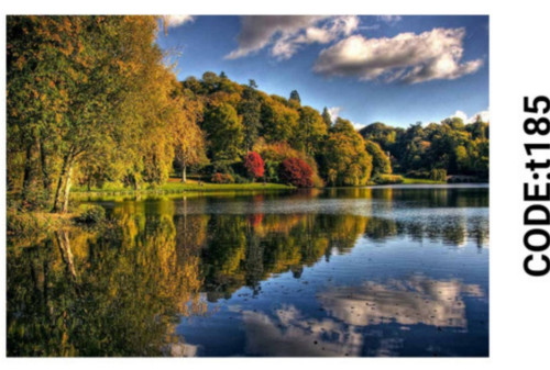 خرید ارزان فرشینه تابلوفرش فرشینه آفتاب کدT185مخمل شانل ترک استپدار