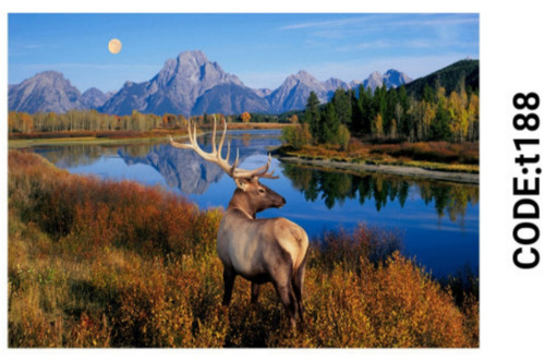 خرید ارزان فرشینه تابلوفرش فرشینه آفتاب کدT188مخمل شانل ترک استپدار