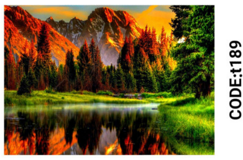 خرید ارزان فرشینه تابلوفرش فرشینه آفتاب کدT189مخمل شانل ترک استپدار