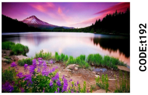 خرید ارزان فرشینه تابلوفرش فرشینه آفتاب کدT192مخمل شانل ترک استپدار