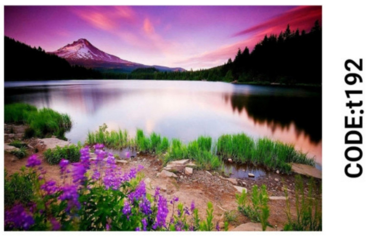 خرید ارزان فرشینه تابلوفرش فرشینه آفتاب کدT192مخمل شانل ترک استپدار