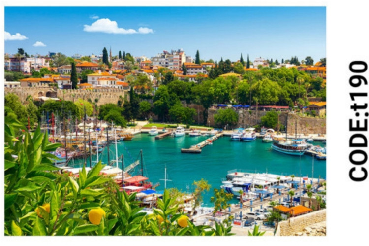 خرید ارزان فرشینه تابلوفرش فرشینه آفتاب کدT190مخمل شانل ترک استپدار