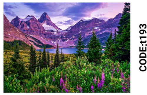 خرید ارزان فرشینه تابلوفرش فرشینه آفتاب کدT193مخمل شانل ترک استپدار