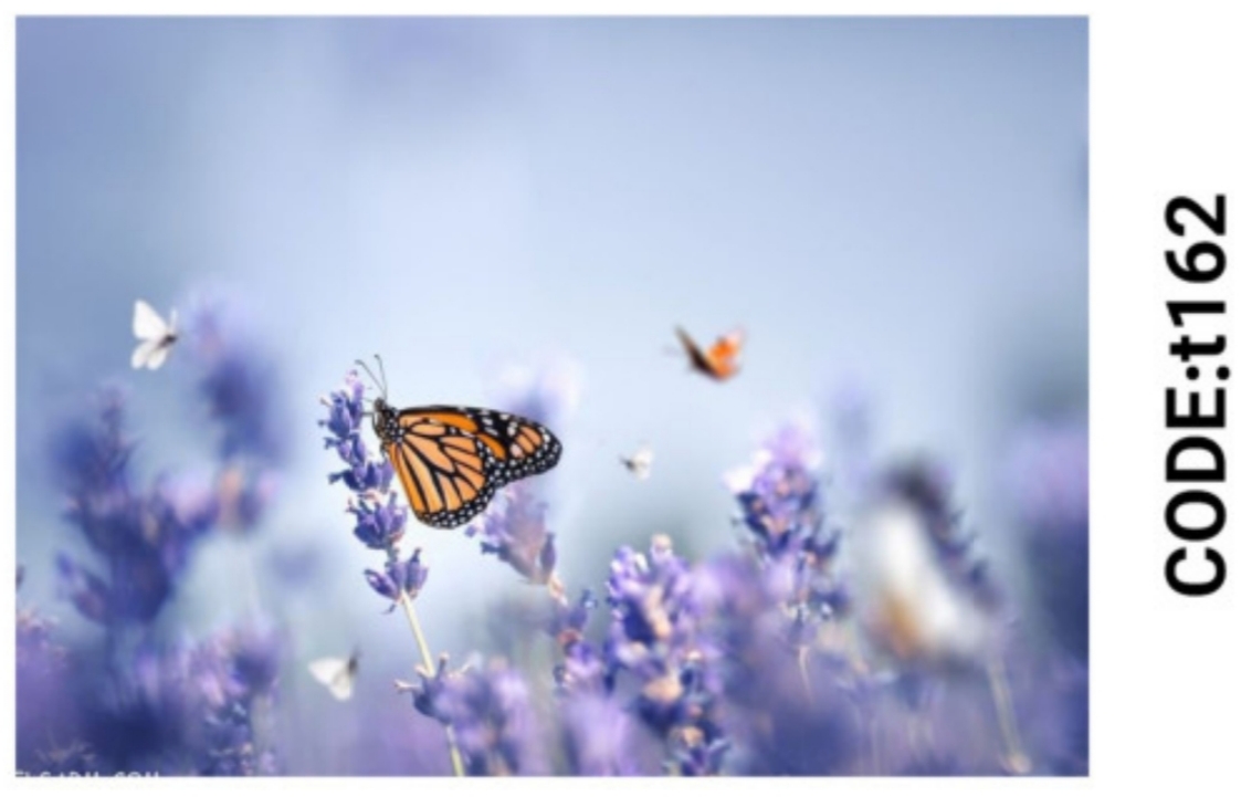 خرید ارزان فرشینه تابلوفرش فرشینه آفتاب کدT162مخمل شانل ترک استپدار