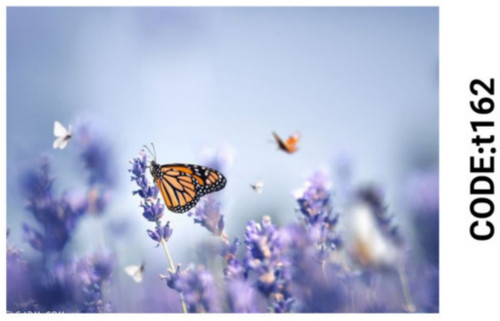 خرید ارزان فرشینه تابلوفرش فرشینه آفتاب کدT162مخمل شانل ترک استپدار