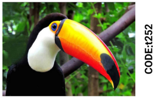 خرید ارزان فرشینه حیوانات فرشینه آفتاب کدT252مخمل شانل ترک استپدار