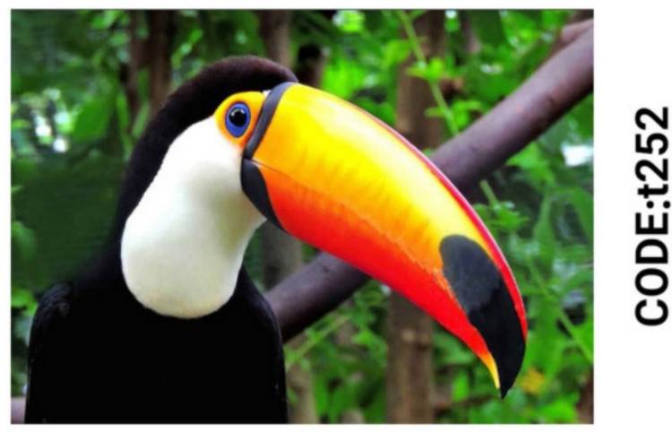 خرید ارزان فرشینه حیوانات فرشینه آفتاب کدT252مخمل شانل ترک استپدار