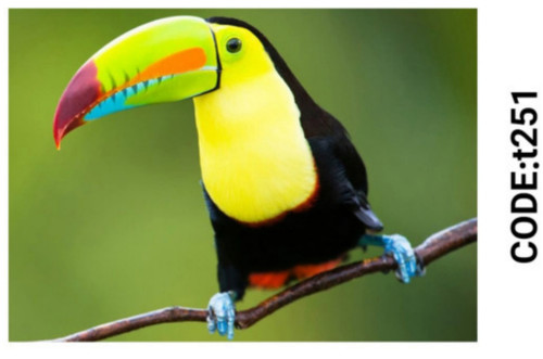 خرید ارزان فرشینه حیوانات فرشینه آفتاب کدT251مخمل شانل ترک استپدار