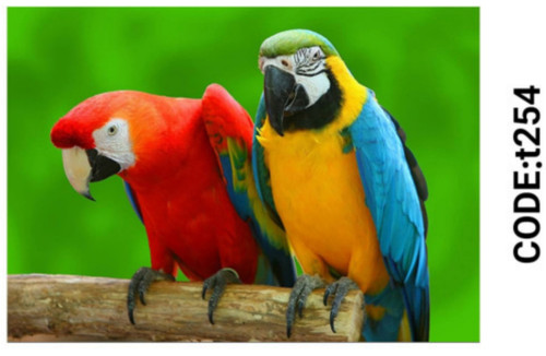 خرید ارزان فرشینه حیوانات فرشینه آفتاب کدT254مخمل شانل ترک استپدار