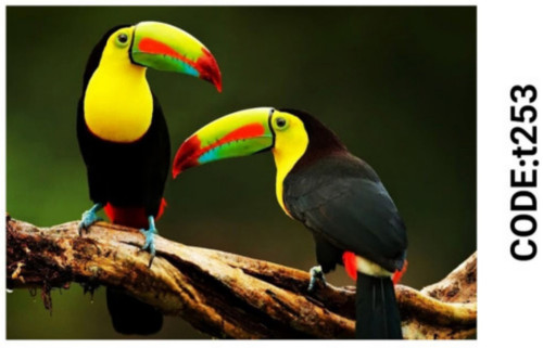 خرید ارزان فرشینه حیوانات فرشینه آفتاب کدT253مخمل شانل ترک استپدار