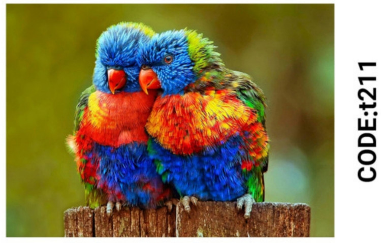 خرید ارزان فرشینه حیوانات فرشینه آفتاب کدT211مخمل شانل ترک استپدار