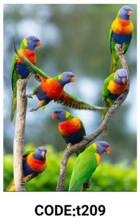 خرید ارزان فرشینه حیوانات فرشینه آفتاب کدT209مخمل شانل ترک استپدار