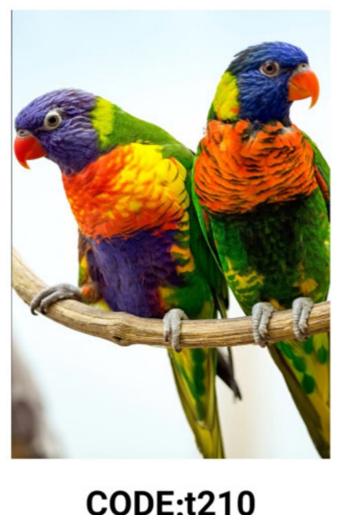 خرید ارزان فرشینه حیوانات فرشینه آفتاب کدT210مخمل شانل ترک استپدار