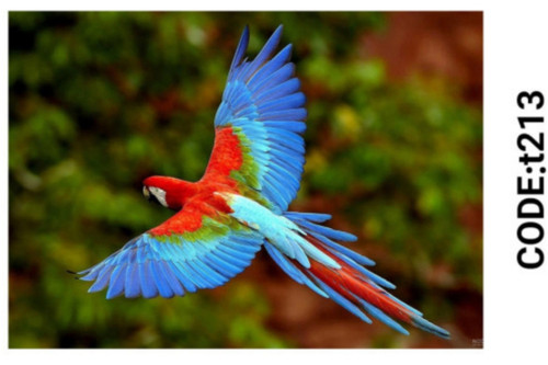 خرید ارزان فرشینه حیوانات فرشینه آفتاب کدT213مخمل شانل ترک استپدار