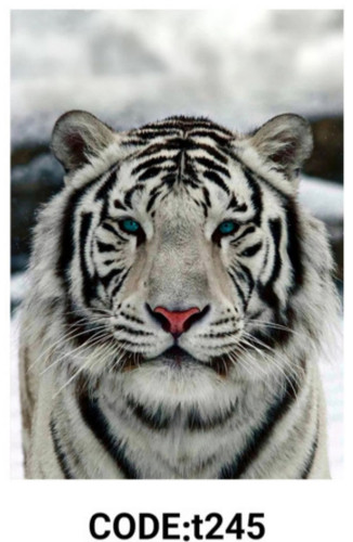 خرید ارزان فرشینه حیوانات فرشینه آفتاب کدT245مخمل شانل ترک استپدار