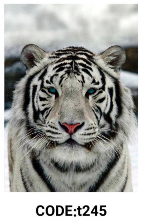 خرید ارزان فرشینه حیوانات فرشینه آفتاب کدT245مخمل شانل ترک استپدار