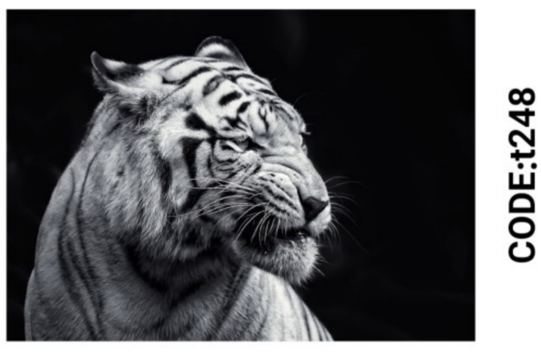 خرید ارزان فرشینه حیوانات فرشینه آفتاب کدT248مخمل شانل ترک استپدار