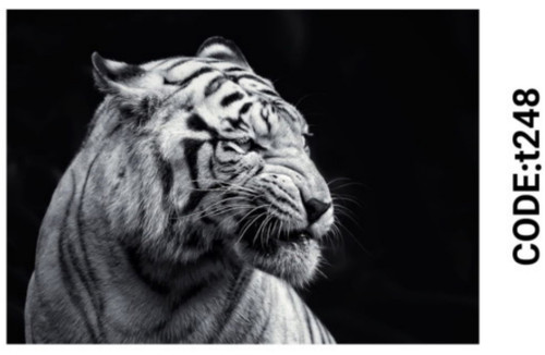 خرید ارزان فرشینه حیوانات فرشینه آفتاب کدT248مخمل شانل ترک استپدار