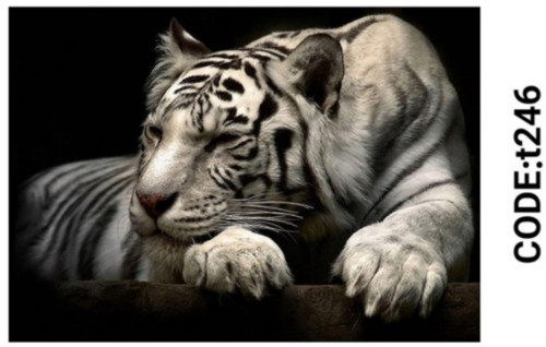 خرید ارزان فرشینه حیوانات فرشینه آفتاب کدT246مخمل شانل ترک استپدار