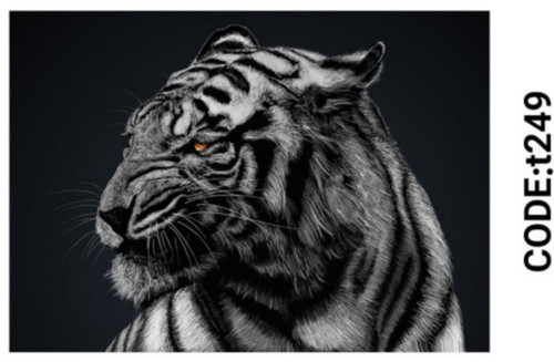 خرید ارزان فرشینه حیوانات فرشینه آفتاب کدT249مخمل شانل ترک استپدار