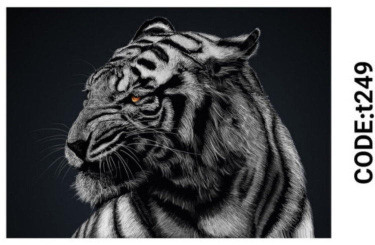 خرید ارزان فرشینه حیوانات فرشینه آفتاب کدT249مخمل شانل ترک استپدار