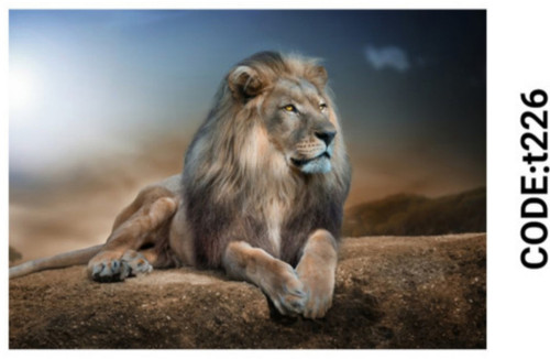 خرید ارزان فرشینه حیوانات فرشینه آفتاب کدT226مخمل شانل ترک استپدار