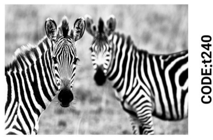 خرید ارزان فرشینه حیوانات فرشینه آفتاب کدT240مخمل شانل ترک استپدار