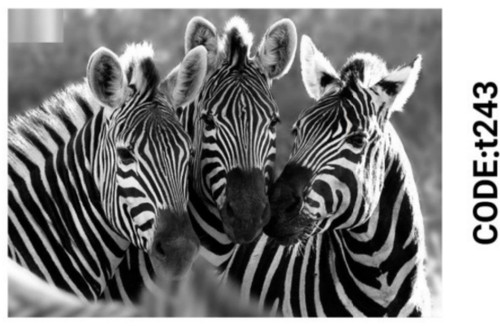 خرید ارزان فرشینه حیوانات فرشینه آفتاب کدT243مخمل شانل ترک استپدار