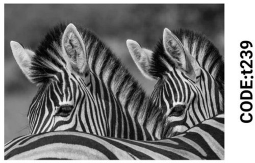 خرید ارزان فرشینه حیوانات فرشینه آفتاب کدT239مخمل شانل ترک استپدار