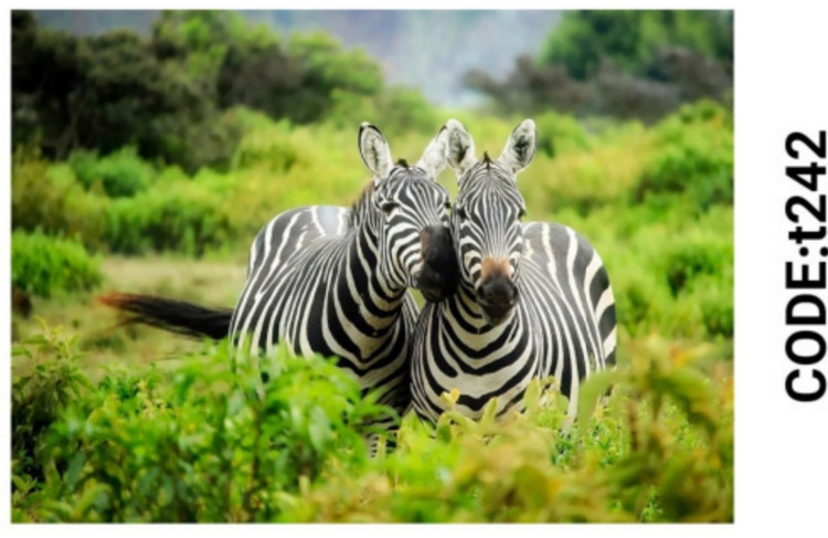 خرید ارزان فرشینه حیوانات فرشینه آفتاب کدT242مخمل شانل ترک استپدار