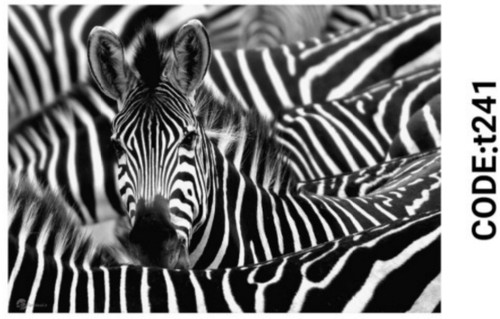 خرید ارزان فرشینه حیوانات فرشینه آفتاب کدT241مخمل شانل ترک استپدار