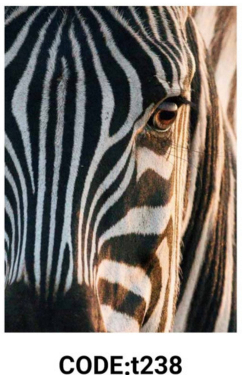 خرید ارزان فرشینه حیوانات فرشینه آفتاب کدT238مخمل شانل ترک استپدار