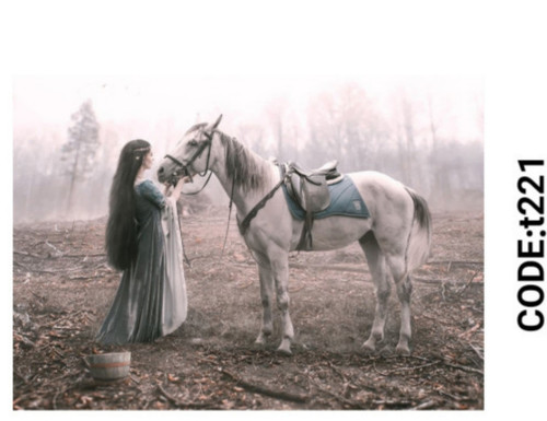 خرید ارزان فرشینه حیوانات فرشینه آفتاب کدT221مخمل شانل ترک استپدار