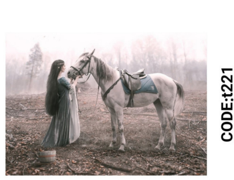 خرید ارزان فرشینه حیوانات فرشینه آفتاب کدT221مخمل شانل ترک استپدار