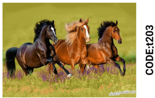 خرید ارزان فرشینه حیوانات فرشینه آفتاب کدT203مخمل شانل ترک استپدار