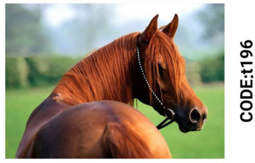 خرید ارزان فرشینه حیوانات فرشینه آفتاب کدT196مخمل شانل ترک استپدار