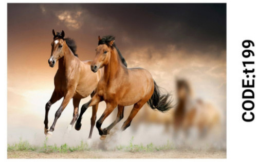 خرید ارزان فرشینه حیوانات فرشینه آفتاب کدT199مخمل شانل ترک استپدار