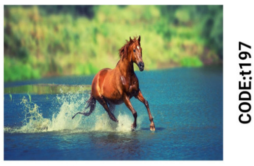 خرید ارزان فرشینه حیوانات فرشینه آفتاب کدT197مخمل شانل ترک استپدار