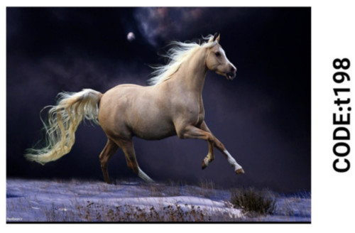 خرید ارزان فرشینه حیوانات فرشینه آفتاب کدT198مخمل شانل ترک استپدار