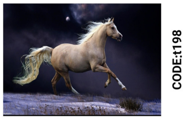 خرید ارزان فرشینه حیوانات فرشینه آفتاب کدT198مخمل شانل ترک استپدار