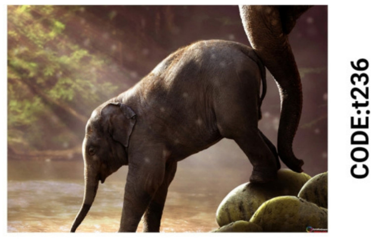 خرید ارزان فرشینه حیوانات فرشینه آفتاب کدT236مخمل شانل ترک استپدار