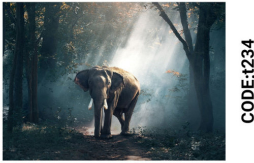 خرید ارزان فرشینه حیوانات فرشینه آفتاب کدT234مخمل شانل ترک استپدار