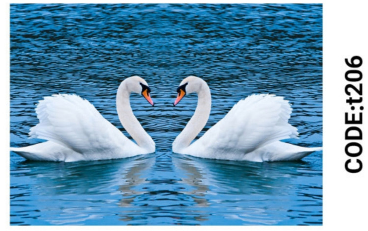 خرید ارزان فرشینه حیوانات فرشینه آفتاب کدT206مخمل شانل ترک استپدار