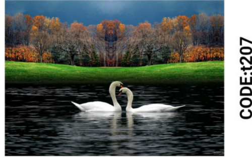 خرید ارزان فرشینه حیوانات فرشینه آفتاب کدT207مخمل شانل ترک استپدار