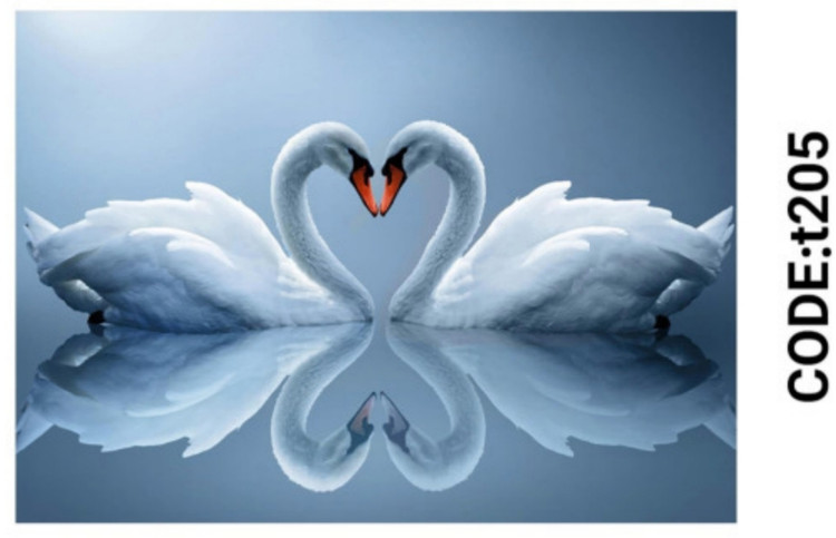 خرید ارزان فرشینه حیوانات فرشینه آفتاب کدT205مخمل شانل ترک استپدار