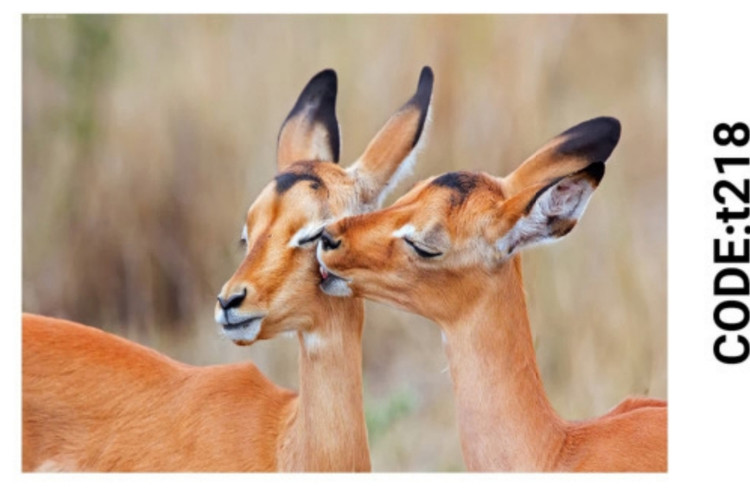 خرید ارزان فرشینه حیوانات فرشینه آفتاب کدT218مخمل شانل ترک استپدار