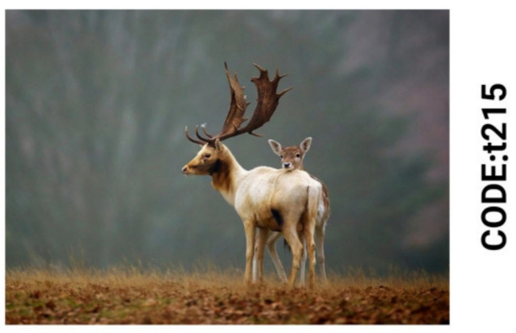 خرید ارزان فرشینه حیوانات فرشینه آفتاب کدT215مخمل شانل ترک استپدار